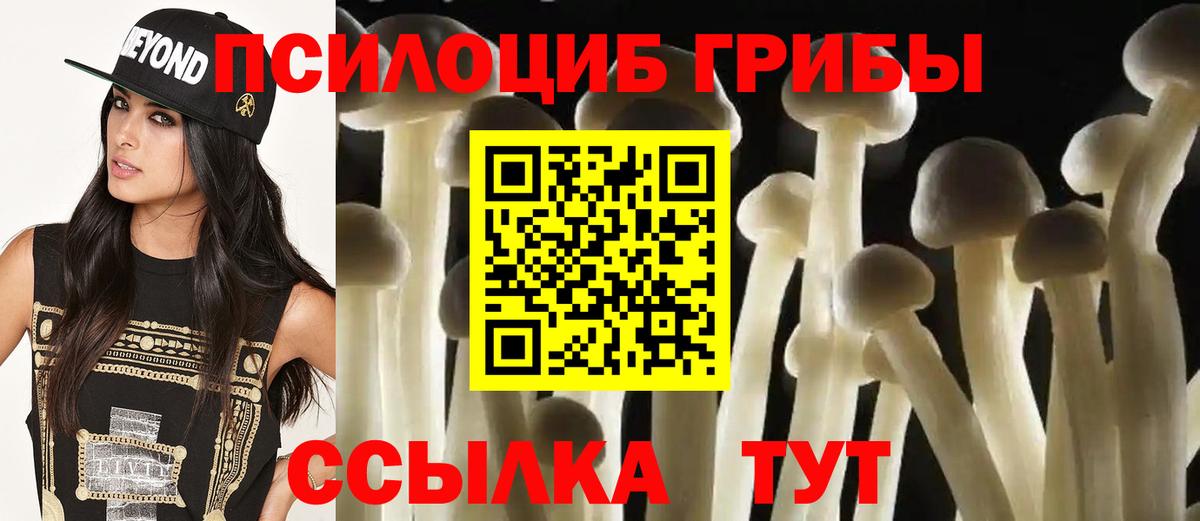 Псилоцибиновые грибы Psilocybine cubensis  Вход с VPN  Галлюциногенные грибы MAGIC MUSHROOMS  Норильск 